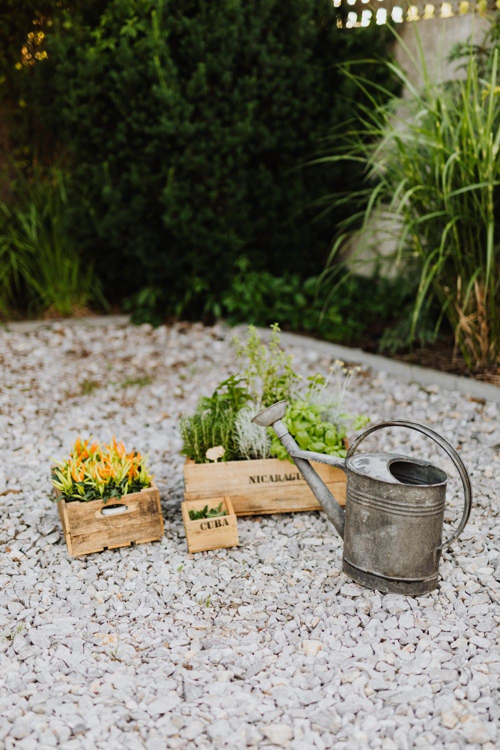 Garden & Outdoor